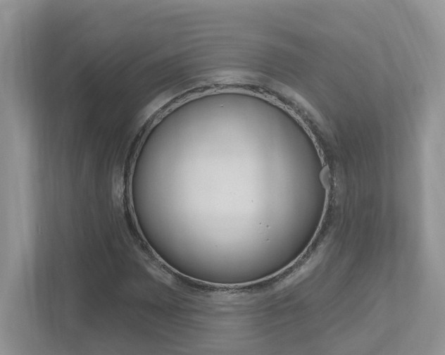 X0000112501065200908171007