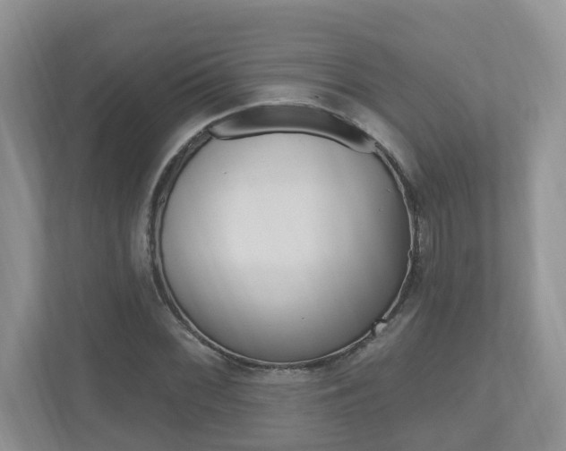 X0000112501068200908171007