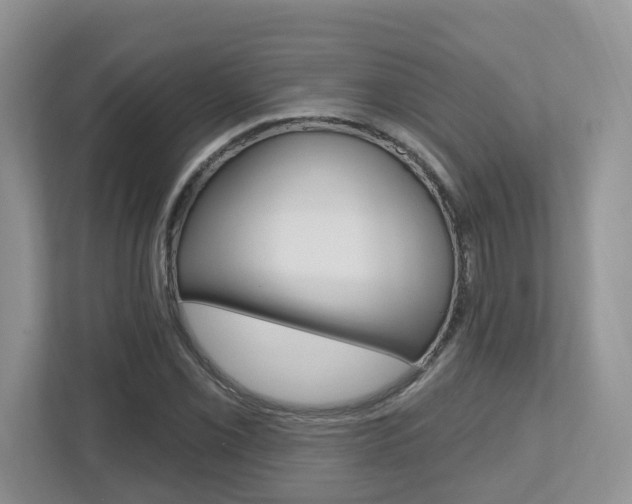 X0000112501069200908171007