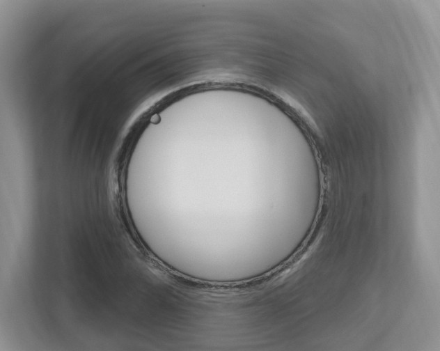X0000112501070200908171007