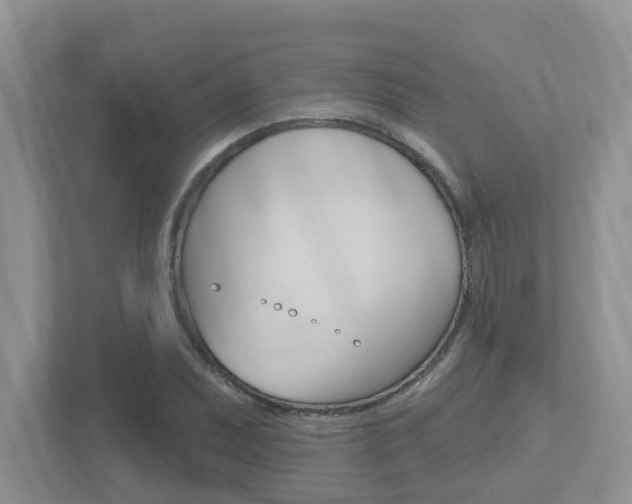 X0000112501071200908171007