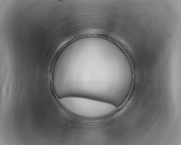 X0000112501073200908171006