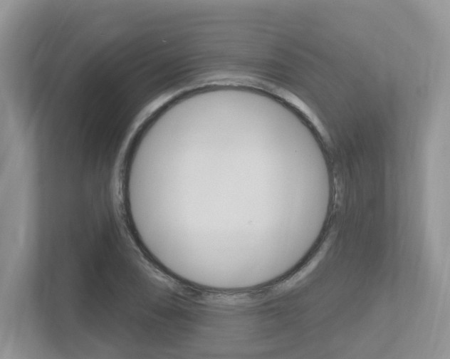 X0000112501074200908171006