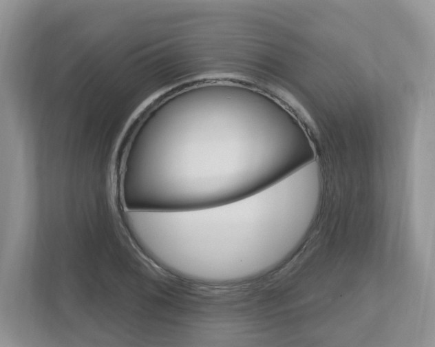 X0000112501076200908171006