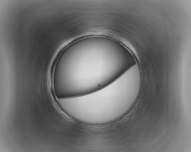 X0000112501080200908171006
