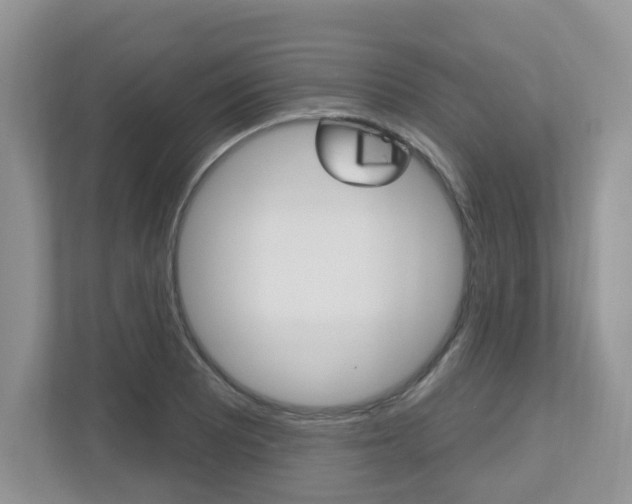 X0000112501081200908171006