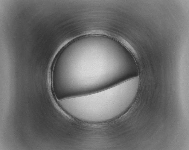 X0000112501084200908171006