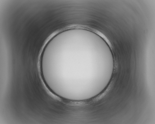 X0000112501090200908171006
