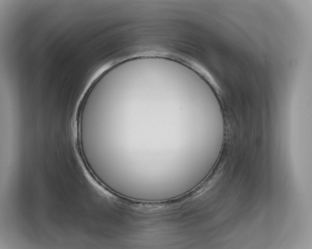 X0000112501095200908171006
