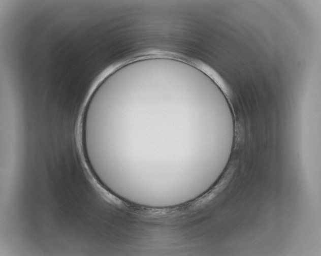 X0000112501098200908171006