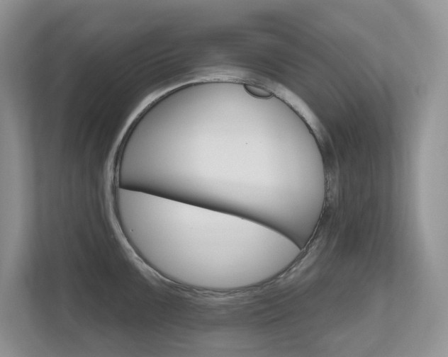 X0000112501099200908171006