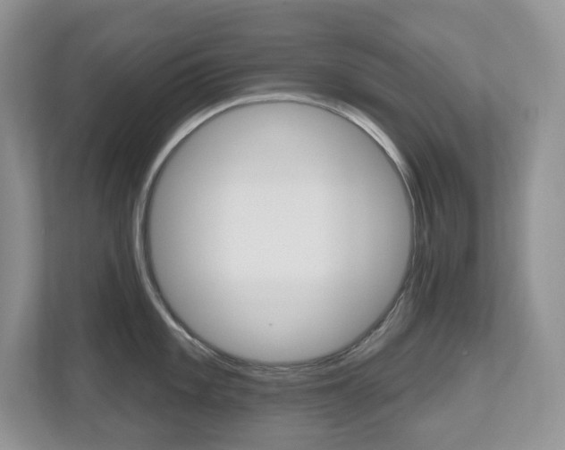 X0000112501101200908171006