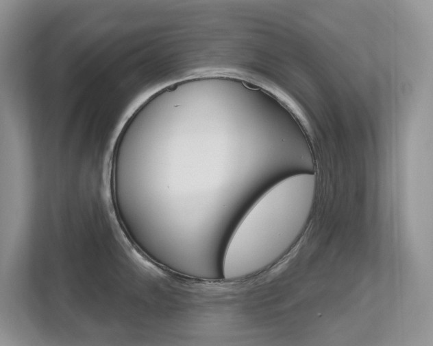 X0000112501102200908171006