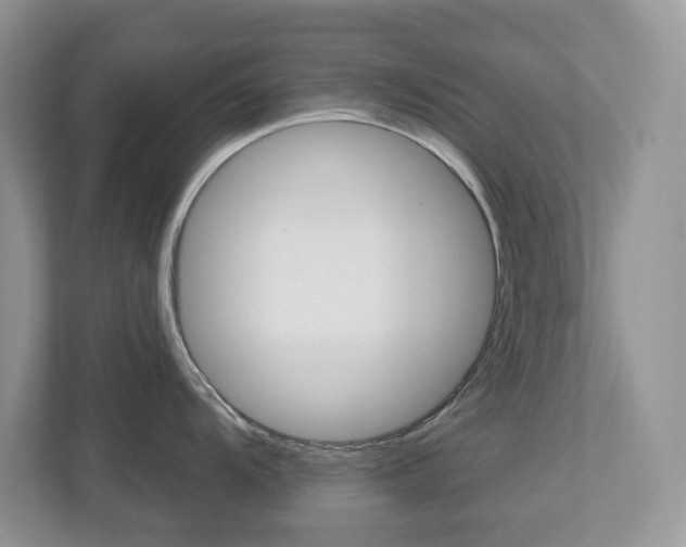 X0000112501104200908171006