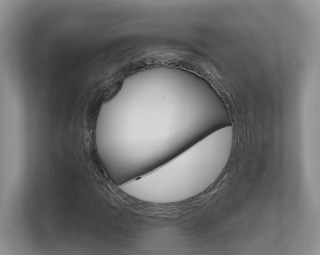 X0000112501109200908171006