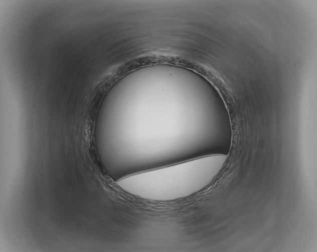X0000112501110200908171006