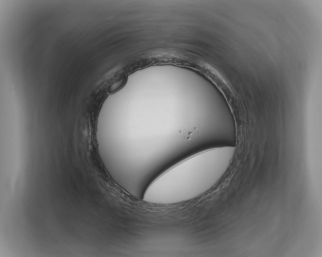 X0000112501111200908171006