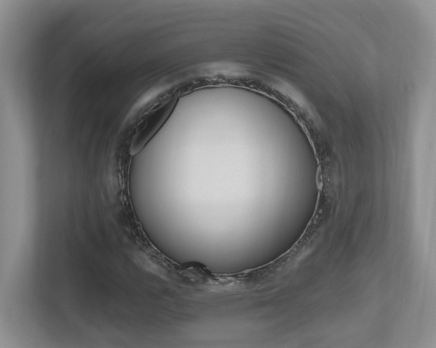 X0000112501112200908171006