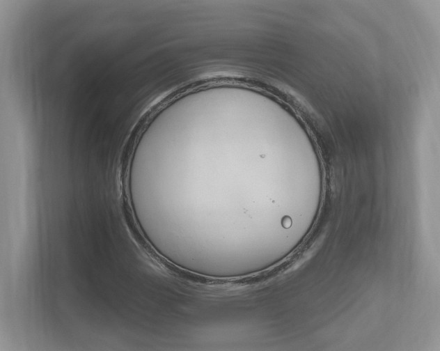 X0000112501113200908171006