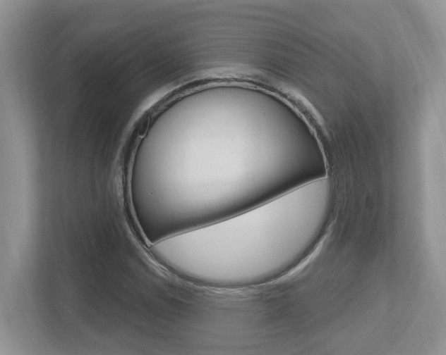 X0000112501114200908171006