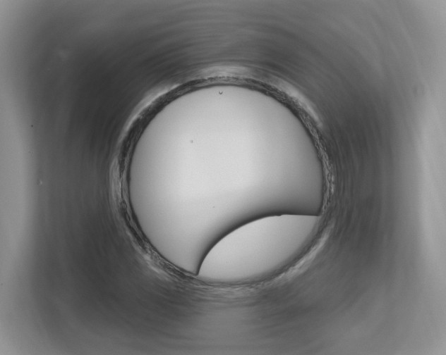X0000112501117200908171006