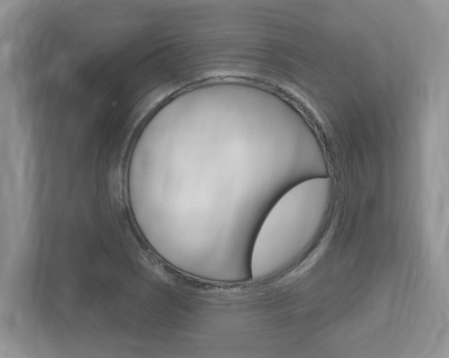 X0000112501121200908171006