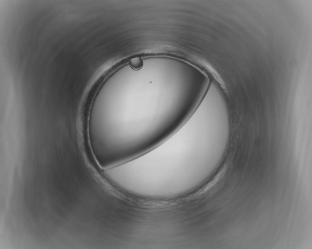 X0000112501122200908171006