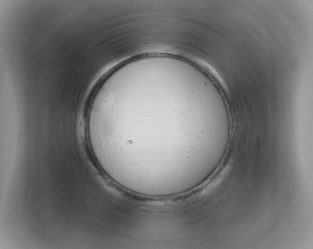 X0000112501125200908171006