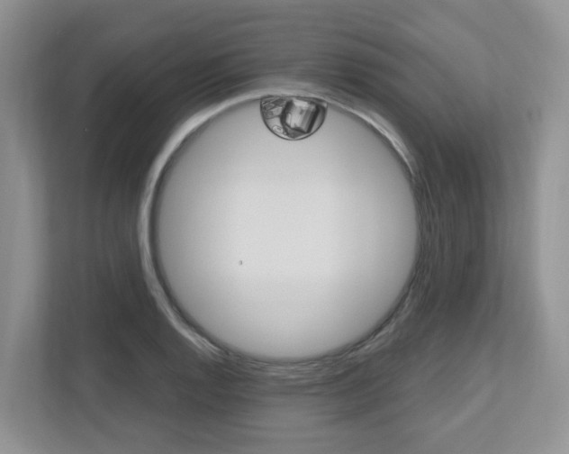 X0000112501128200908171006