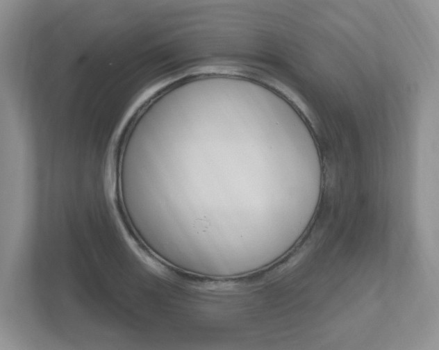 X0000112501131200908171006