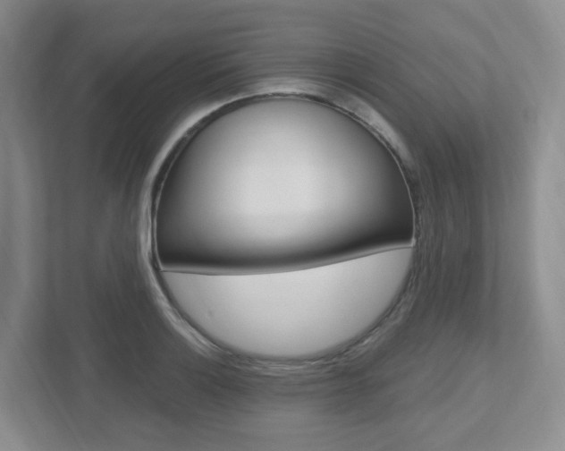 X0000112501132200908171006