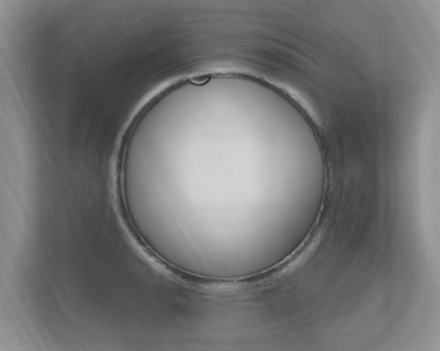 X0000112501134200908171006