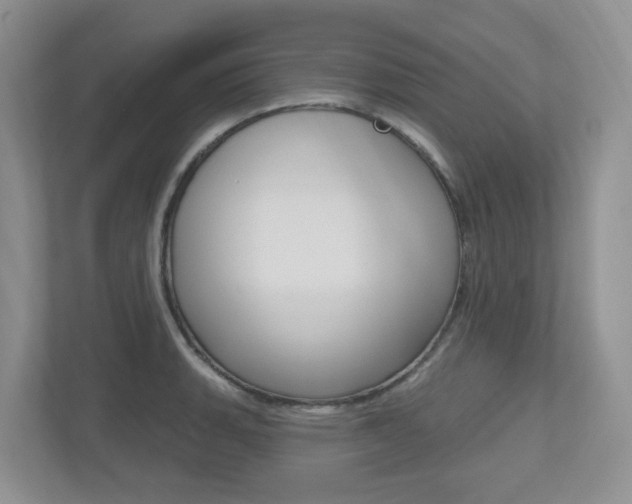 X0000112501135200908171006