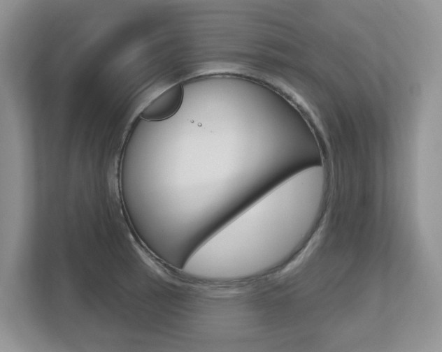 X0000112501137200908171006
