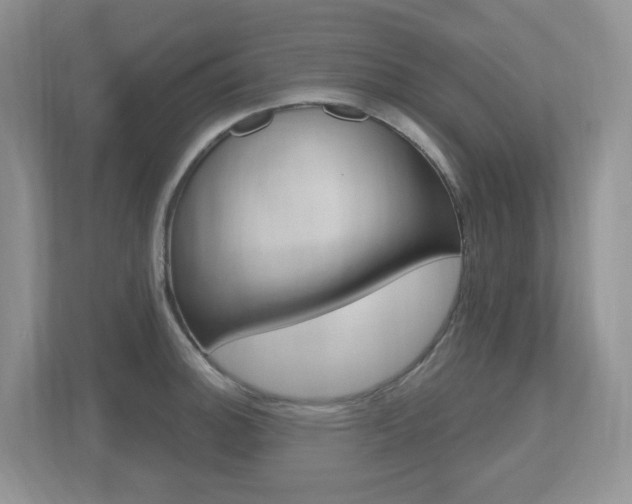 X0000112501140200908171006