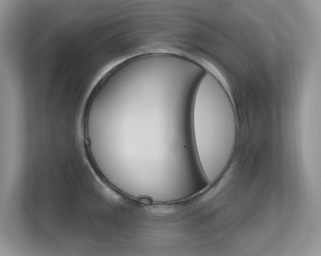 X0000112501141200908171006