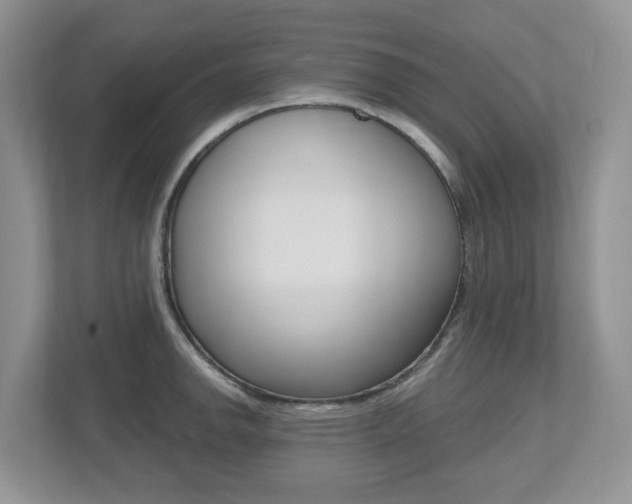 X0000112501142200908171006