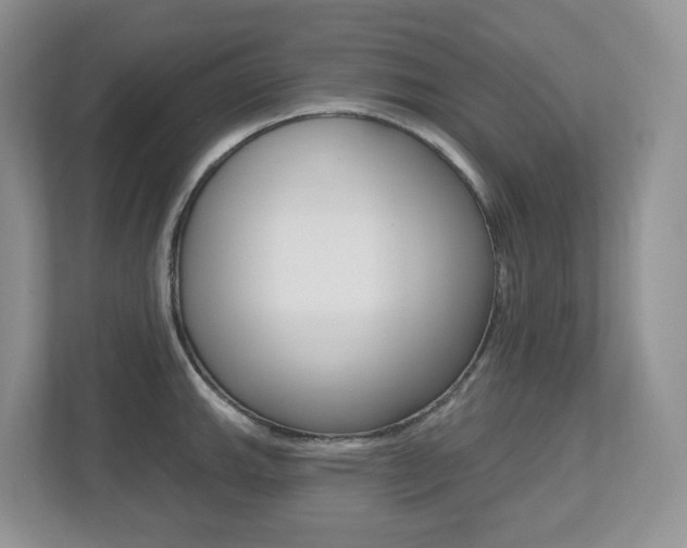 X0000112501143200908171006