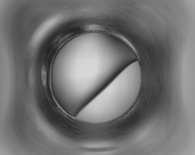 X0000112501151200908171006