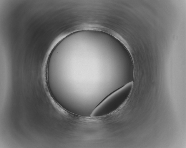 X0000112501152200908171006