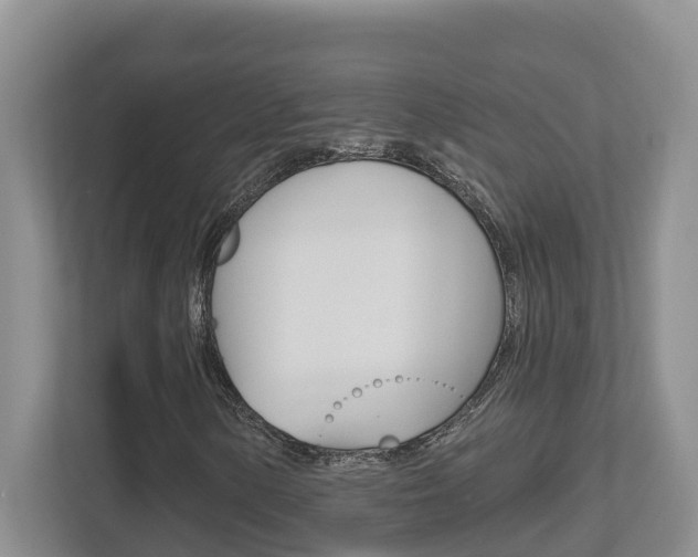 X0000112501154200908171005