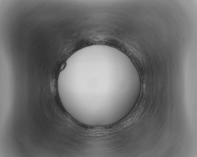 X0000112501156200908171005