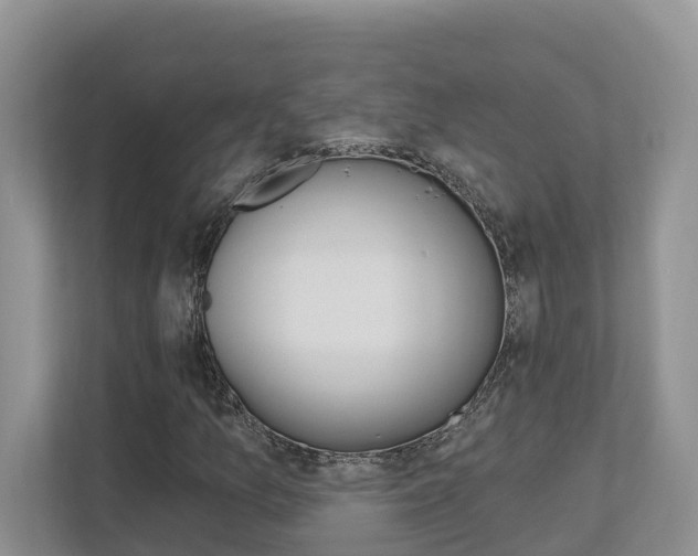 X0000112501157200908171005