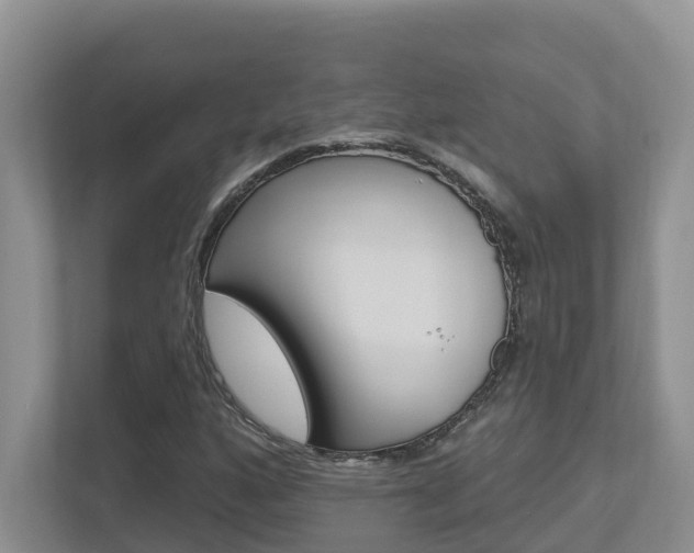 X0000112501160200908171005