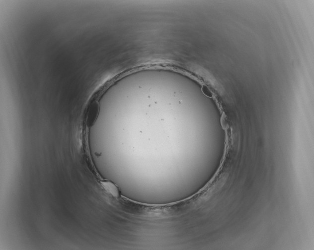 X0000112501165200908171005