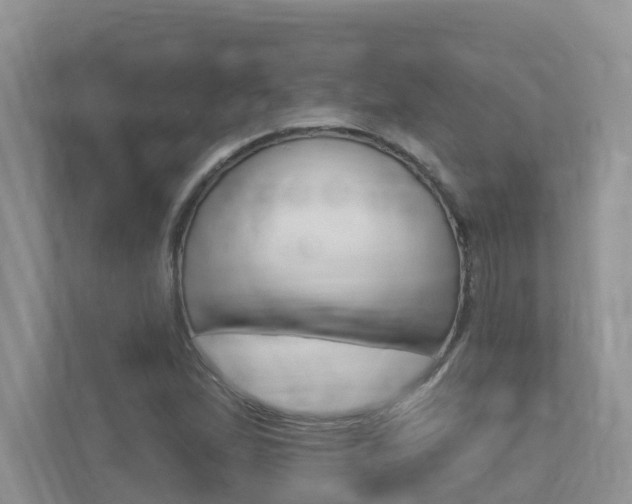 X0000112501167200908171005