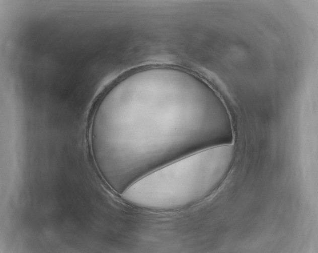 X0000112501168200908171005