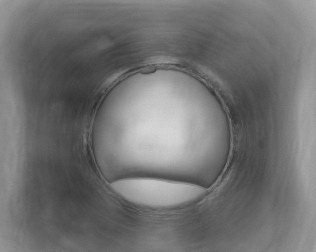 X0000112501169200908171005