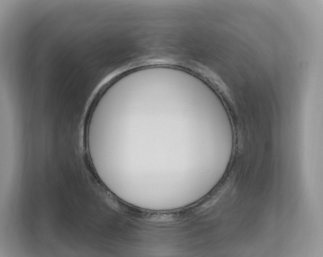 X0000112501174200908171005