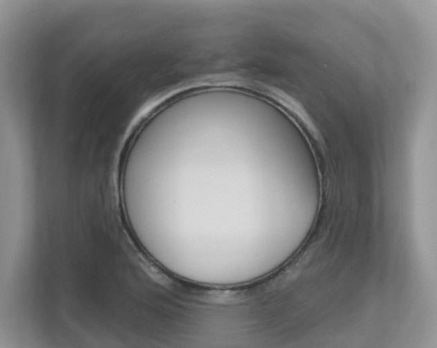 X0000112501176200908171005